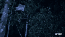 Forest Fly GIF - Forest Fly Bat GIFs