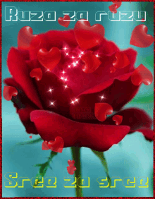 Ruža Za Ružu GIF - Ruža Za Ružu GIFs