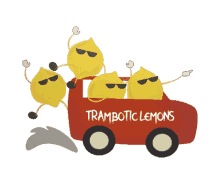 trambotic tramboticlemons tramboticteam lemons mongolrally