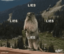 Lies Lies Lies Lies Beaver GIF
