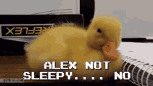 Duck Not Sleepy GIF