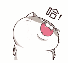 ami fat cat shout dance singing happy