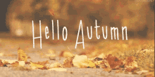 Fall Weather Hello Autumn GIF