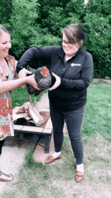 Chicken Surprised GIF