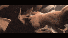 a close up of a person 's hands holding a coin .