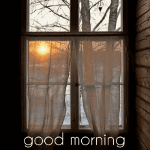Good Morning Sunshine GIF - Good Morning Sunshine GIFs