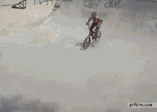 Bike Fail GIF - Bike Fail Funny GIFs