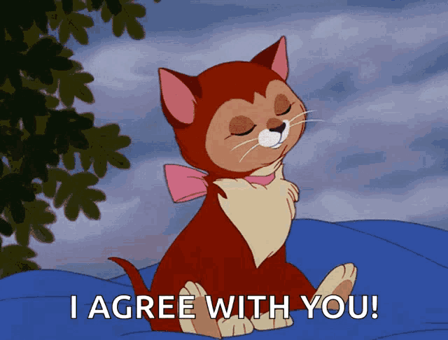 a cartoon cat is sitting on a blue blanket with the words i agree with you below it