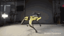 Uptown Spot Robot Twerking GIF - Uptown Spot Robot Twerking Robot Dog GIFs