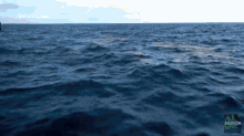 Portal Exatlón GIF - Portal Exatlón Oceano GIFs