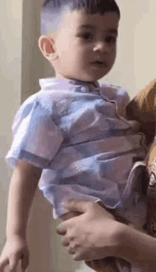 a woman is holding a little boy in her arms and he is wearing a blue shirt .