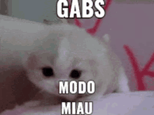 Gabs Miau GIF - Gabs Miau GIFs