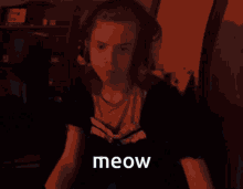 Lampeyre Lampeyre Meow GIF - Lampeyre Lampeyre Meow State Meow GIFs