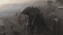 Godzilla Vs King Kong Kaiju GIF