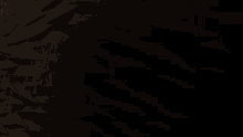 a drawing of a person with long feathers