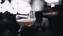 Bng House Of Wine GIF - Bng House Of Wine Champagne GIFs
