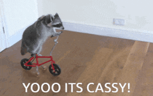 Cassy Cassys GIF - Cassy Cassys Wifiaddicted GIFs