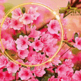 Sakura Sakura Blossoms GIF - Sakura Sakura Blossoms Cherry