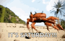 Saturday Crab Rave GIF - Saturday Crab Rave Raving GIFs