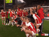 Arsenal Women Awfc GIF - Arsenal Women Awfc Arsenal GIFs