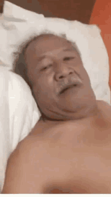 Proud Lolo Here GIF - Proud Lolo Here GIFs