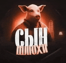 a picture of a pig wearing a sweater and a mask with the words `` сын шурохи '' written on it .