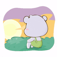 bear white cute lovely sunset