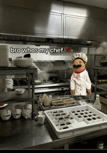 a stuffed chef in a kitchen with the words bro whos my chef
