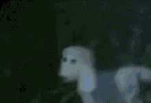 Puppe Run GIF - Puppe Run Jump GIFs