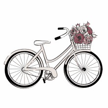 Bike Bicycle GIF