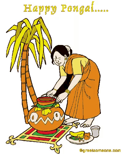 Pongal Village Celebration Illustration Vector