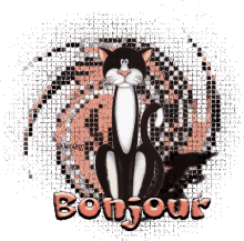 a black and white cat is sitting in front of a circle that says bonjour