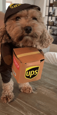 Ups Special Woof-delivery GIF