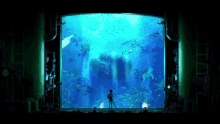 a man stands in front of a large aquarium with many fish
