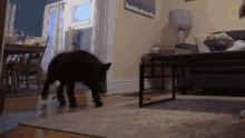 Learning To Walk Again Disabled GIF