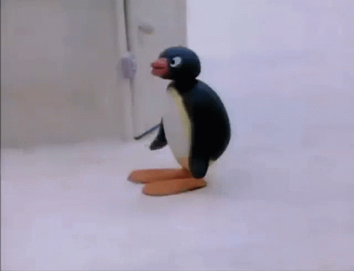 pingu the penguin gif