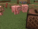 a group of pigs are standing next to each other in a field in a video game .