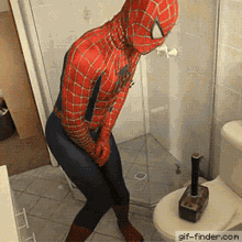 Funny Spiderman Gifs GIFs | Tenor