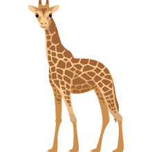 giraffe nature joypixels long neck tallest animal