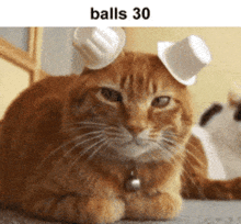 Balls 30 GIF
