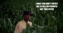 How High Field Of Dreams GIF - How High Field Of Dreams Peanuts GIFs