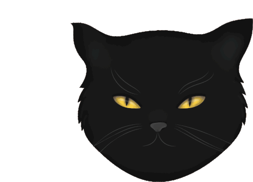 Black Cat Cat Sticker - Black Cat Cat Wink Stickers