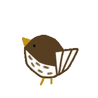 Happy Bird Sticker