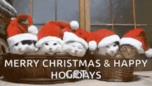 Christmascat Christmascats GIF - Christmascat Christmascats Greetings GIFs
