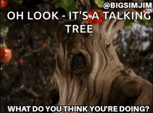 What Are You Doing Wizard Of Oz GIF