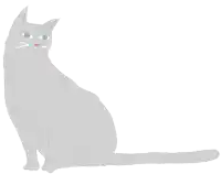 a gray cat with blue eyes and a pink nose is sitting on a white background