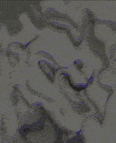 a cartoon drawing of a dog with a purple nose