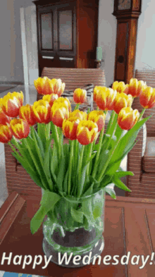 Flowers Tulip GIF - Flowers Tulip Tulips GIFs