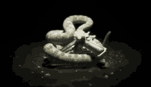 Serpent GIF - Serpent GIFs