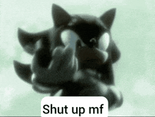 shadow the hedgehog is giving the middle finger and says shut up mf .
